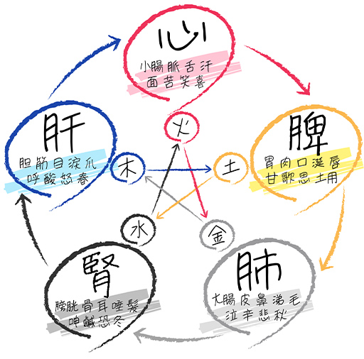 漢方の図